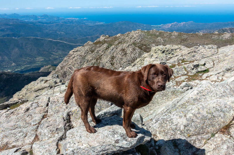 monte astu mala en haut