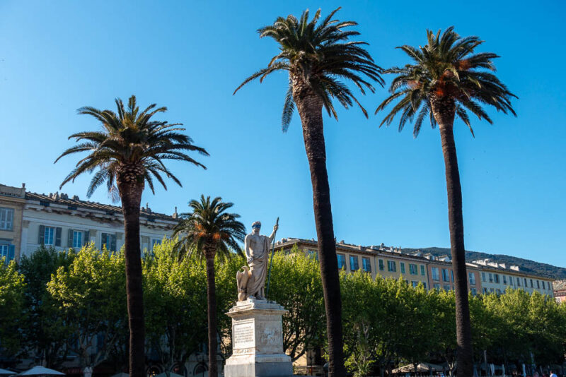 palmiers de bastia