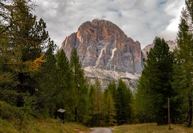 route forestiere cinque torre