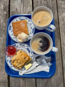 sheeo head pause scone et cafe