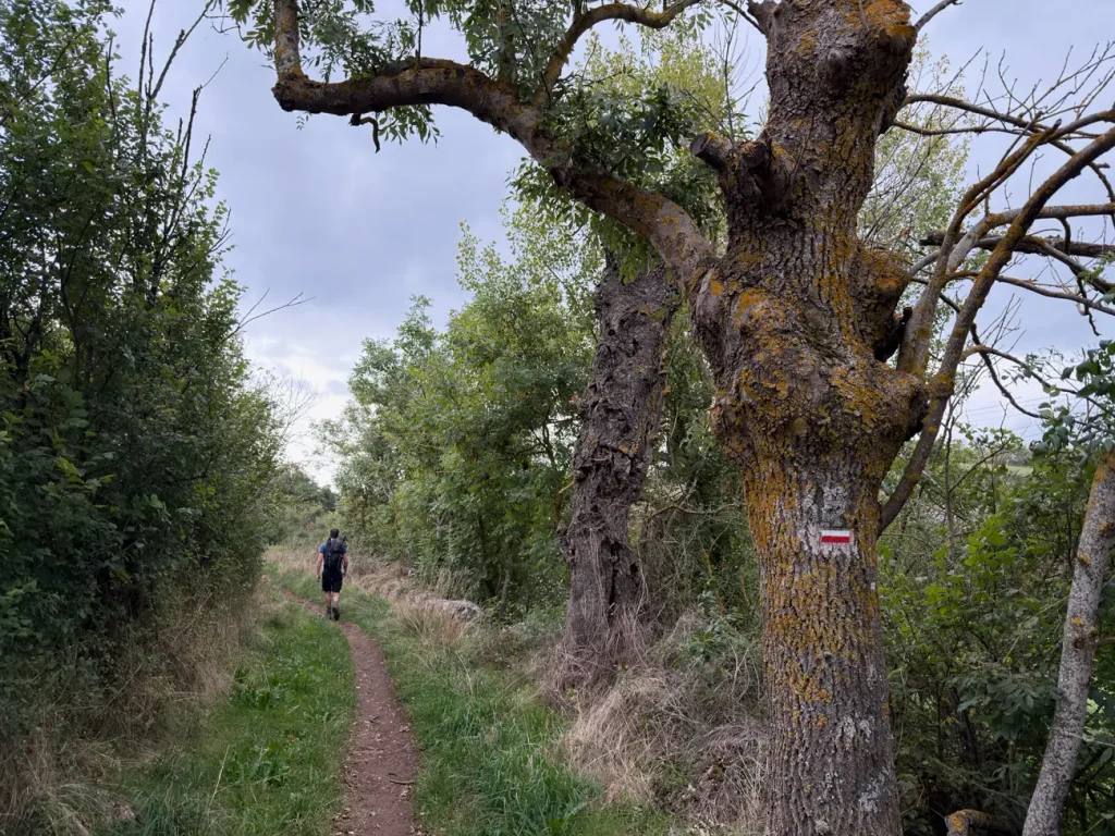sentier au dessus du puy