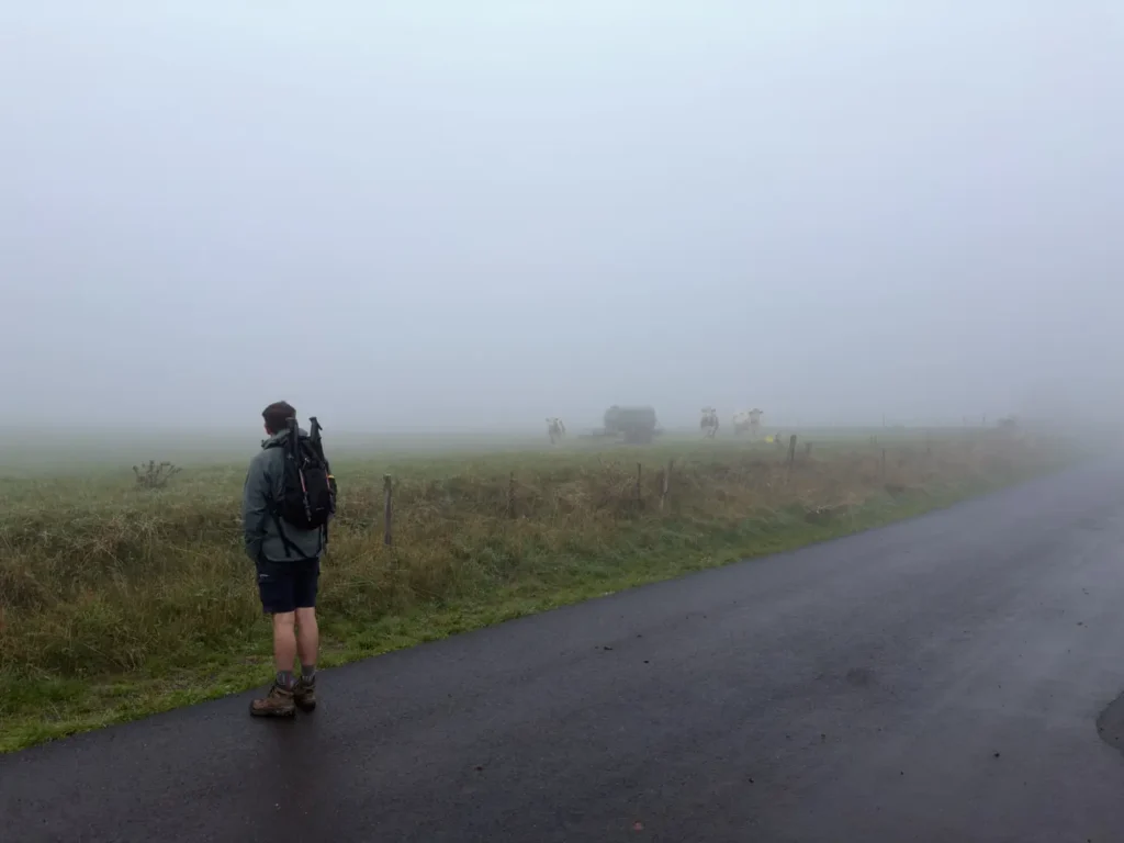stevenson brouillard